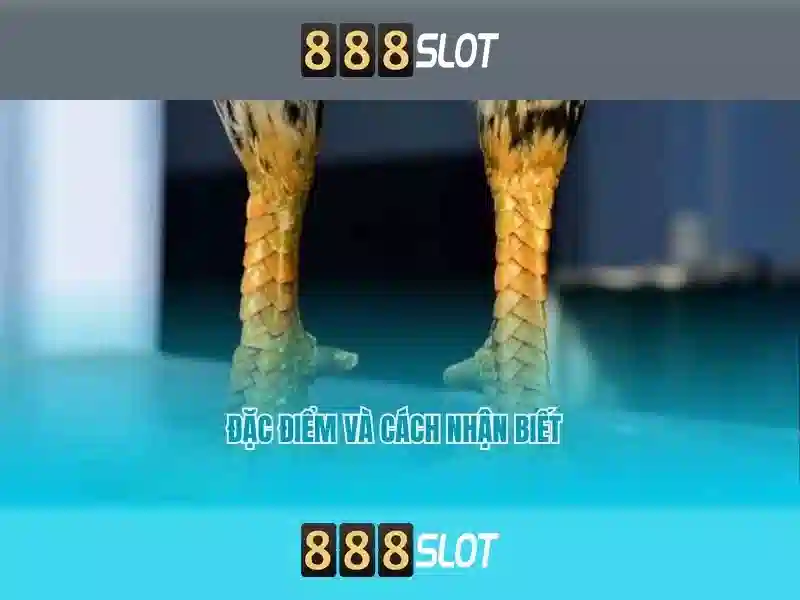 888slot link alternatif - 888slot